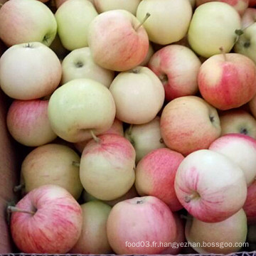 Pomme de gala rouge sans sac